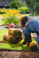 Landscape Gardener Laying Turf For New Lawn in the garden