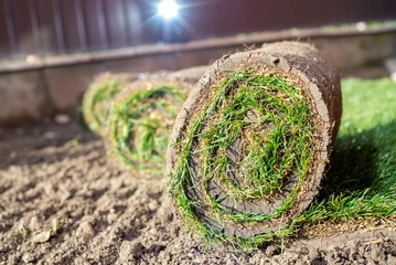 Tafelkleed Roll of fresh sod grass planted on a newly landscaped lawn © Smole