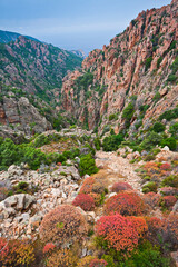 Frankreich, Korsika, Piana, Le Calanche