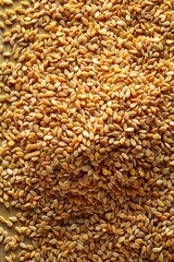 Obraz premium Sesame