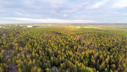 Fototapeta na wymiar Forest with cityscape on horizon at summer sunny day. Aerial view