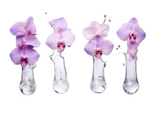 Set of orchid liquid wave splash water isolated on transparent background, transparency image, removed background