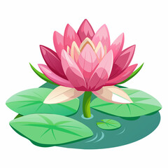 pink lily vector art illustration