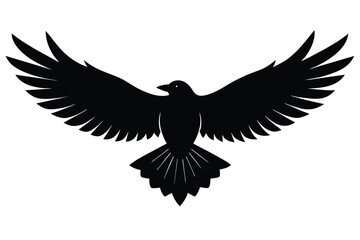 Obraz premium The underside of a flying crow Vector Design