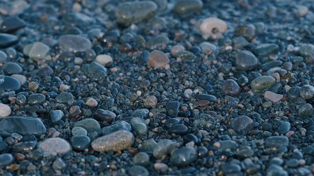 Grainy Pebble And Pebble Stones Tropical Beach. Pebble Seashells Sea Beach Vacation.