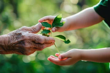 Foto op Plexiglas small children receive small plants from the hands of older people © Nico
