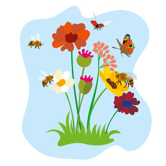 Illustration of a flower meadow with various flowers, ladybirds, bees and butterflies