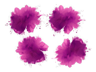 Set of purple paint color powder festival explosion burst isolated on transparent background, transparency image, removed background - obrazy, fototapety, plakaty