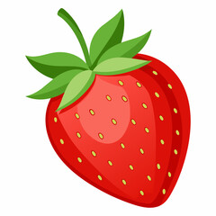 strawberry Vector art  illustration 