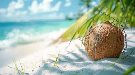 Fotobehang A coconut lying on a white tropical beach with palm tree leaves and a blurred background of the ocean, National coconut day, summer holiday background © M
