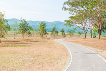 Road in the middle of the forest and Winding gravel road through sunny green Forest,ascending to the top of the hill with mountain nature landscape.