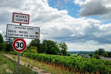 Village city rodsign of Aloxe Corton in the vineyards, Burgundy, France - 755762665