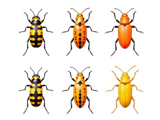 Collection set of soldier beetle isolated on transparent background, transparency image, removed background