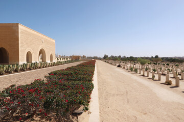  Commonwealth Military War Cemetery at El-Alamein, North Coast of Egypt North Africa