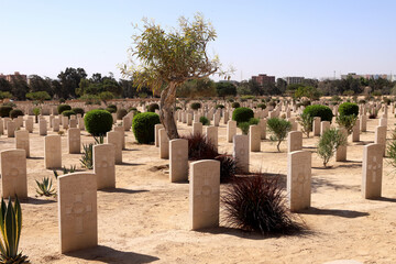  Commonwealth Military War Cemetery at El-Alamein, North Coast of Egypt North Africa