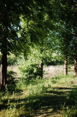 Spring and Summer in Seoul, Korea Architecture and Nature in Seoul