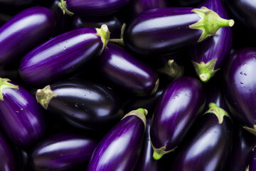 Glossy fresh eggplants in abundant display, rich purple skin contrasting with green stems, wet with water droplets