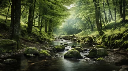Foto op Plexiglas A tranquil forest glen with a babbling brook © Cloudyew