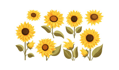 sunflowers vector flat minimalistic isolated vector style illustration