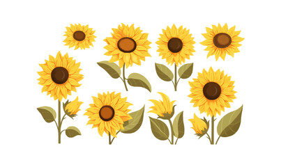 Obraz premium sunflowers vector flat minimalistic isolated vector style illustration