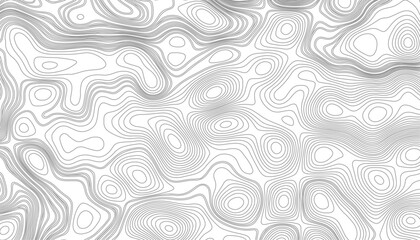 Topographic map background. Contour map background. Vector geography scheme and terrain. Linear map. Vector Image