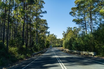 tourist traveling in a caravan exploring nature driving on a raod in the forest Cars Driving on a highway road, in australia