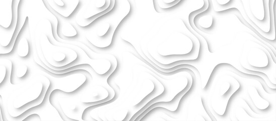 Abstract geometric layered curve line white background. 3d white papercut topography relief. Cover layout template. paper cut topography soft background banner texture. light liquid wave illustration.