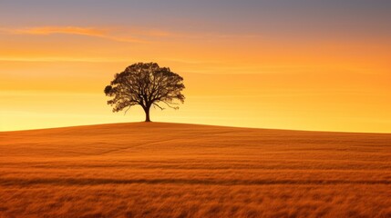 The silhouette of a lone tree in a golden field