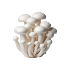White beech mushrooms on a transparent background Ai generative