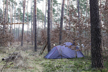 Wildes Campen, Camping im Wald - 755778692