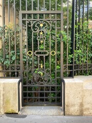 Metal garden gate with rectilinear design and foliage