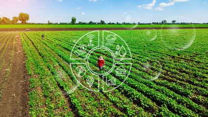 Agriculture technology farmer man using tablet computer analysis data and visual icon. vegetable...