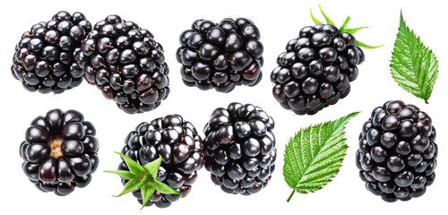 Set of blackberries and blackberry leaves and blackberries leaves on white background. File contains clipping paths. - obrazy, fototapety, plakaty