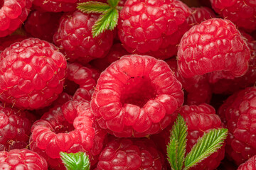 Fresh red ripe raspberries. Raspberries background. - 755783001