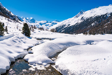 Fototapeta na wymiar Val Roseg, in Engadine, Switzerland, in winter, with snow-covered cross-country ski slopes.