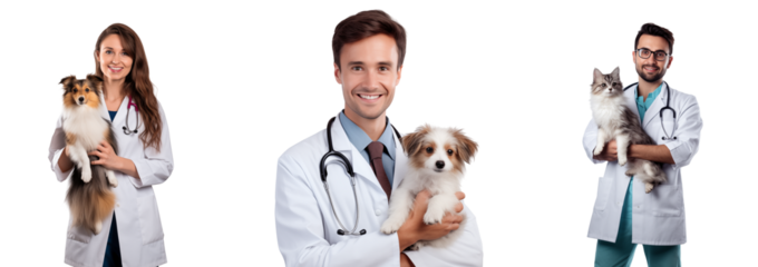 Veterinary and pets, isolated on white, png