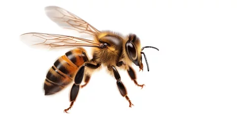 Fotobehang Close Up of Bee on White Background Generative AI © j@supervideoshop.com