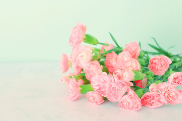 ピンクのカーネーションの花の背景