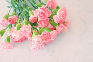 ピンクのカーネーションの花の背景