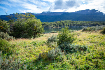 Fototapeta na wymiar Tierra del Fuego National Park