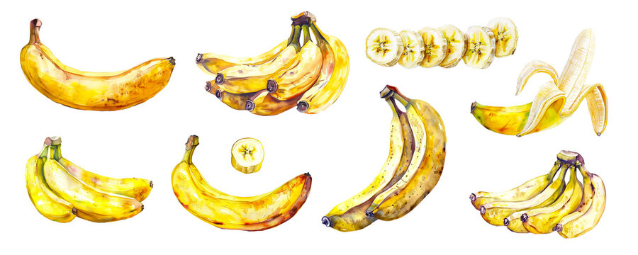 Set of banana fruits whole, peeled and sliced in watercolor style. Bunch of fresh tasty ripe yellow bananas isolated on transparent background. Tropical food
