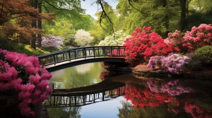 Fotobehang A garden bridge framed by colorful azaleas © Cloudyew