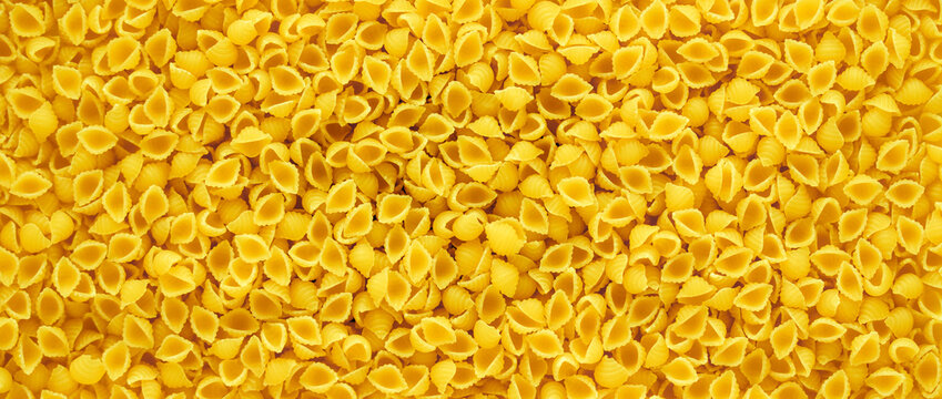 Italian pasta conchiglie background. Whole wheat organic pasta. Directly above, close up, overhead