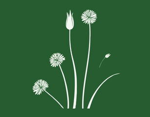 Chives green isolated with a drawing