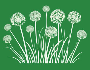 Chives green isolated with a drawing