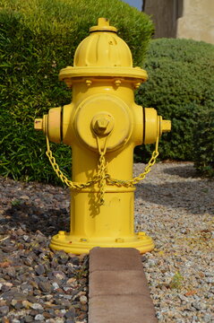 Yellow Fire Hydrant in Yard