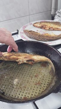 Caucasian woman hands taking to a plate whole fried vobla fish after frying in a cast iron skillet at domestic kitchen.