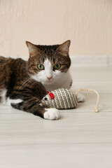 Cute cat with knitted toy on floor at home. Lovely pet - 755797446