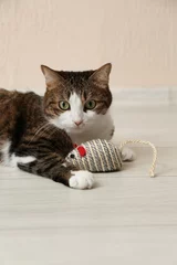 Foto op Canvas Cute cat with knitted toy on floor at home. Lovely pet © New Africa