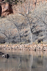 Rio Chama River New Mexico
